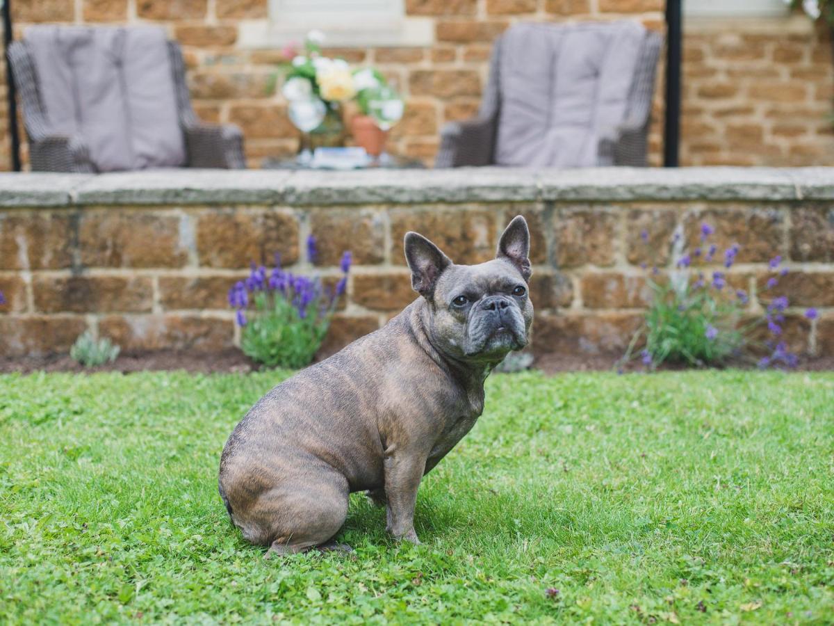 Climbing Rose Cottage - Dog Friendly - Peaceful Cotswold Cottage Adlestrop Екстериор снимка